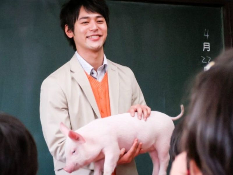 푸름이와 규리의 우정 이야기